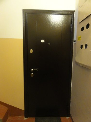 Входная дверь в квартиру Delta-10M Медь RGSO Перламутр белый D12 фото 5